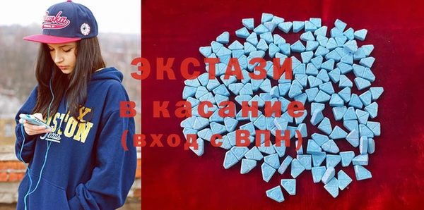 индика Арсеньев