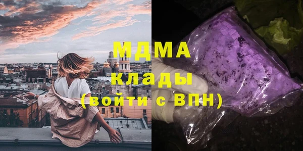 индика Арсеньев