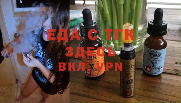 индика Арсеньев