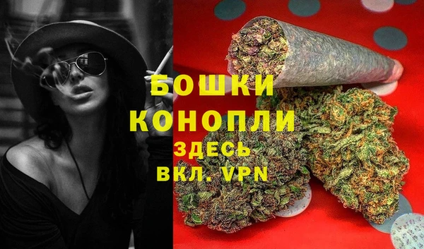 индика Арсеньев