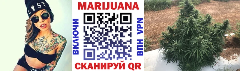 что такое   hydra   Каннабис планчик  Аксай 